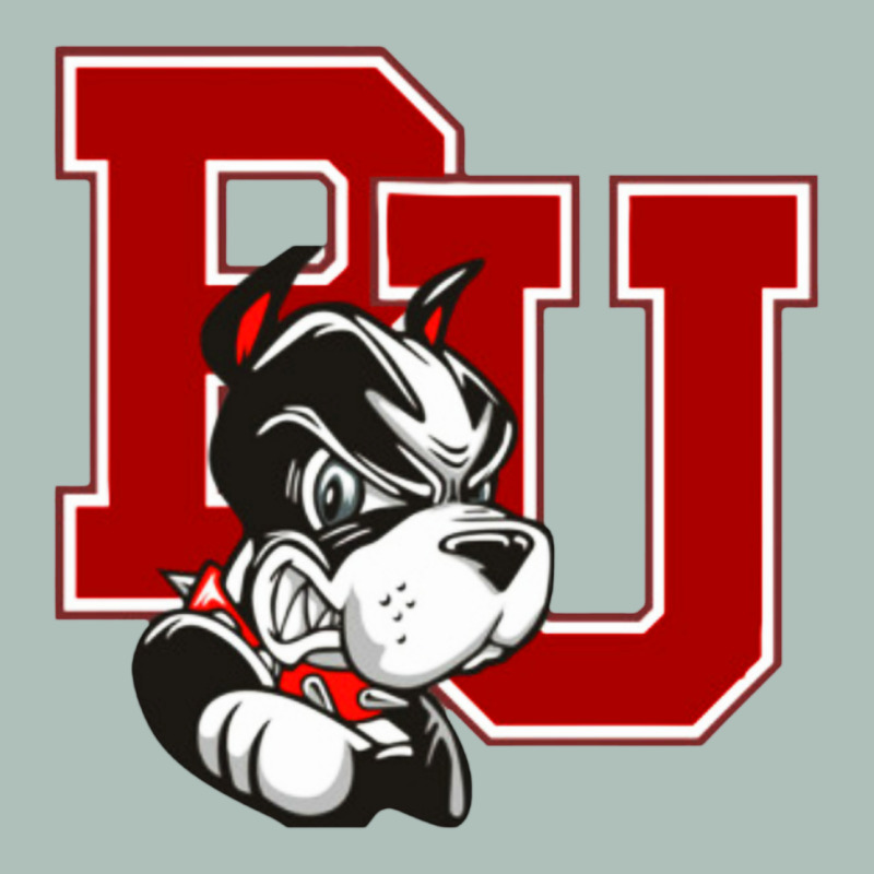Bu University Terries Champion Heavyweight Hoodie by linhVisuals | Teevron