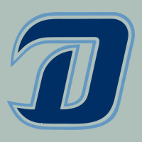 Nc Dinos Heavyweight Hoodie | Teevron