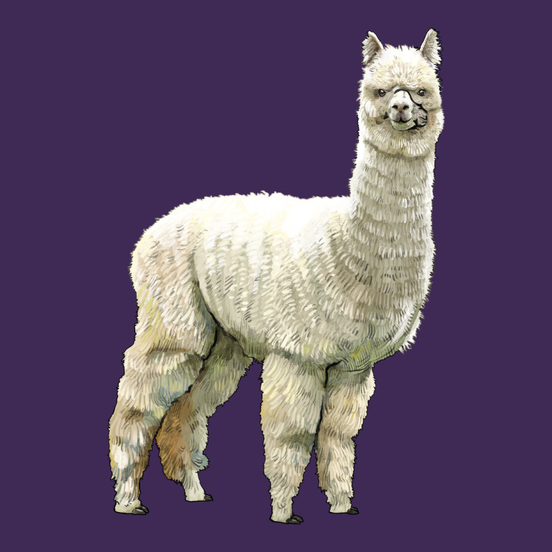 Alpaca Premium Hoodie by LillyAllenDesigns | Teevron
