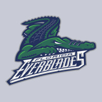 Florida Everblades Heavyweight Hoodie | Teevron