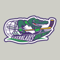 Florida Everblades Heavyweight Hoodie | Teevron