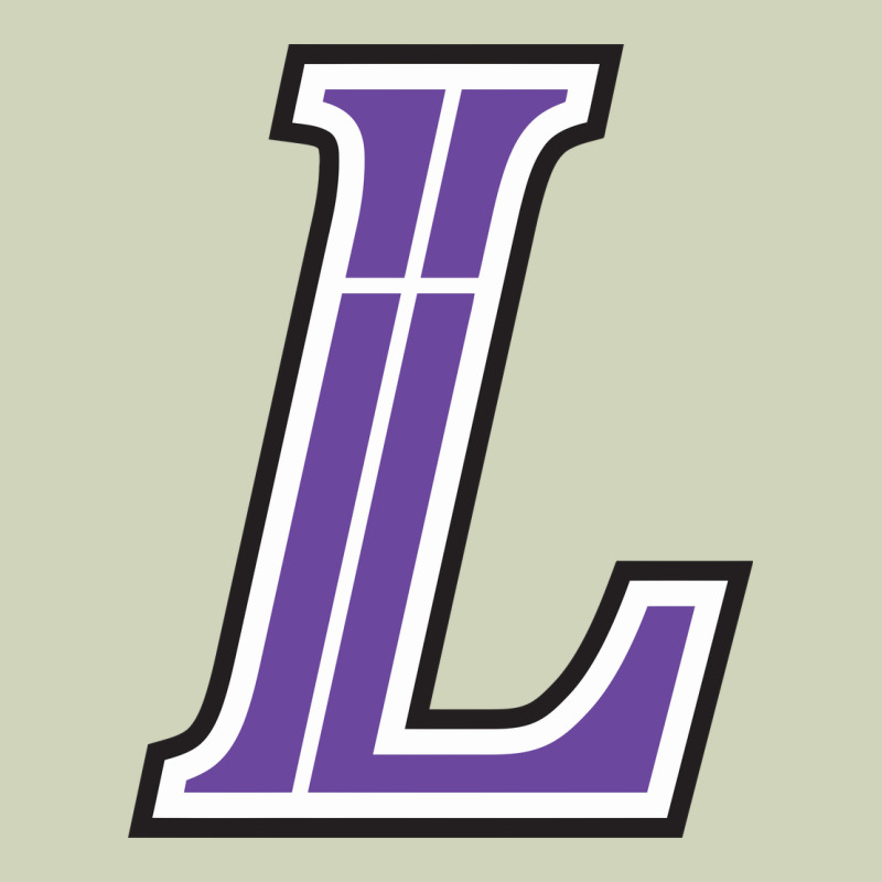 Lutheran High School Heavyweight Hoodie by linhVisuals | Teevron