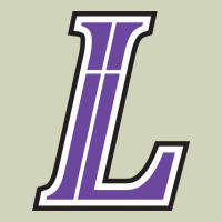 Lutheran High School Heavyweight Hoodie | Teevron