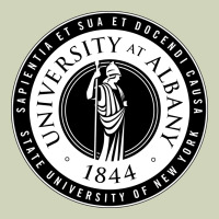 University Albany Suny Heavyweight Hoodie | Teevron