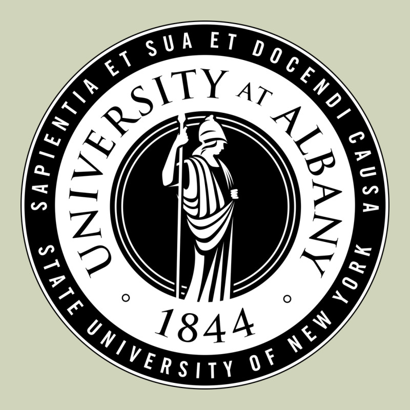 University Albany Suny Heavyweight Hoodie by linhVisuals | Teevron