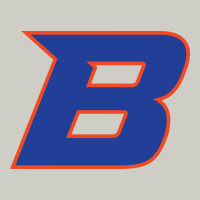 New-boise-state Heavyweight Hoodie | Teevron