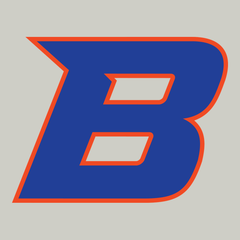 New-boise-state Heavyweight Hoodie by linhVisuals | Teevron