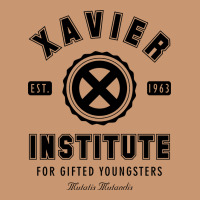Xavier Institute Heavyweight Hoodie | Teevron