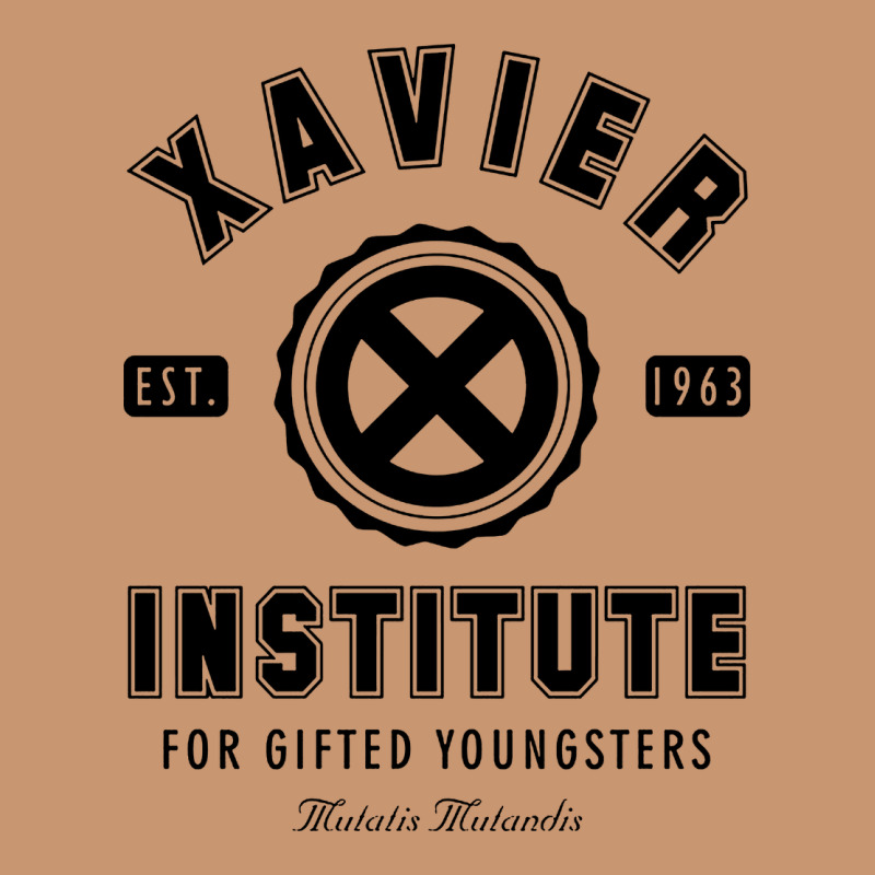 Xavier Institute Heavyweight Hoodie by linhVisuals | Teevron