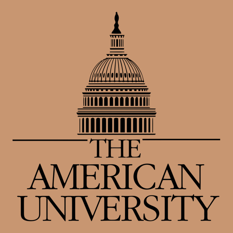 American University Heavyweight Hoodie by linhVisuals | Teevron