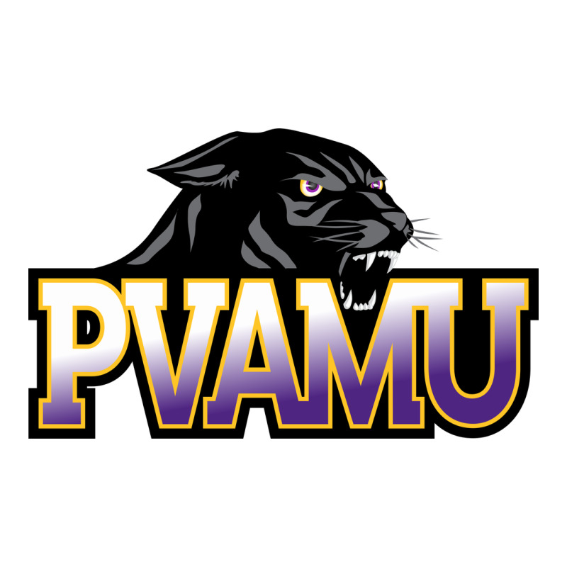 Prairie View A&m Panthers And Lady Panthers Rectangle Patch Heavyweight Hoodie by linhVisuals | Teevron