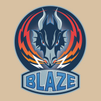 Coventry Blaze Heavyweight Hoodie | Teevron