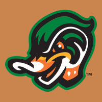 Down East Wood Ducks Heavyweight Hoodie | Teevron
