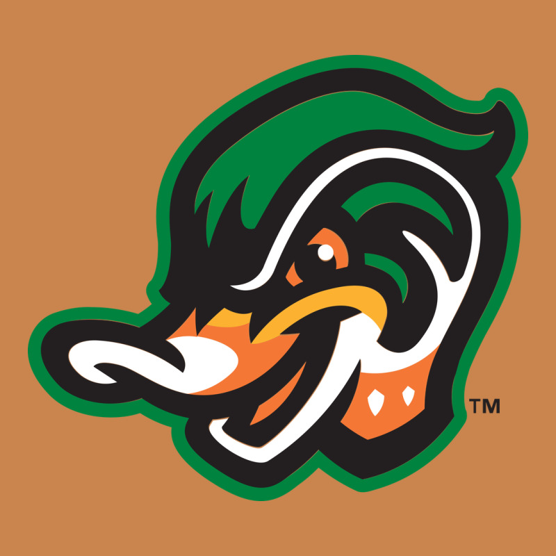 Down East Wood Ducks Heavyweight Hoodie by linhVisuals | Teevron