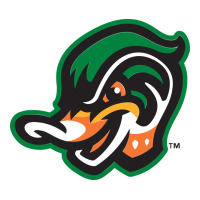 down east wood ducks | Teevron