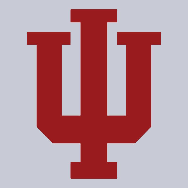 Indiana Gifts Heavyweight Hoodie by linhVisuals | Teevron