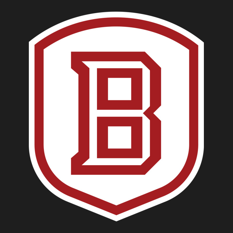 Bradley University Athletics Heavyweight Hoodie by linhVisuals | Teevron