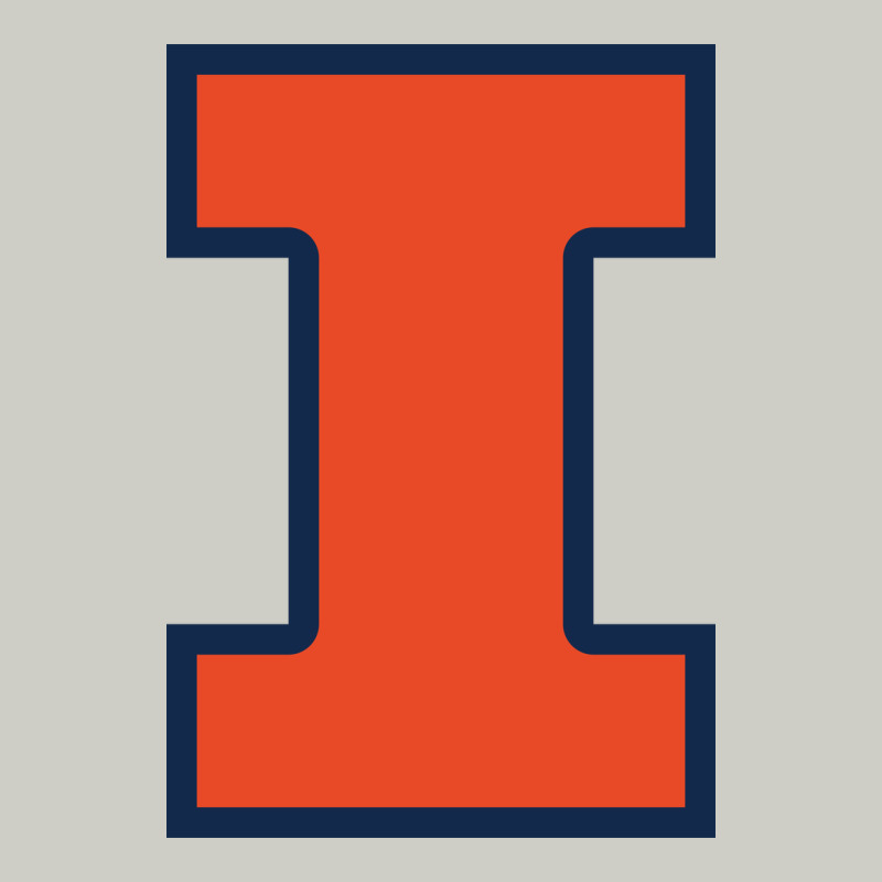 Illinois Fighting Illini, University Of Illinois, Uiuc, Geari Heavyweight Hoodie by linhVisuals | Teevron