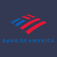 Bank Of America  Company Heavyweight Hoodie | Teevron