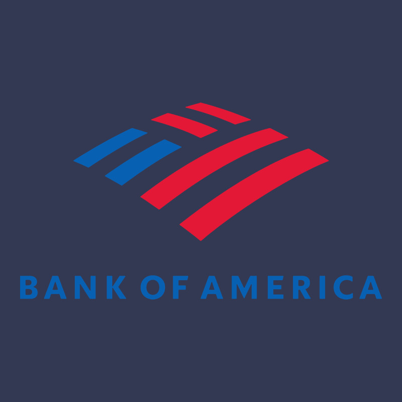 Bank Of America  Company Heavyweight Hoodie by linhVisuals | Teevron