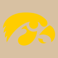University Of Iowa Athletics Teams Gear Heavyweight Hoodie | Teevron