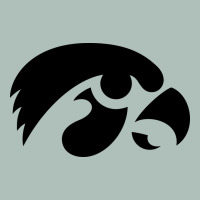 University Of Iowa Athletics Teams Gear Heavyweight Hoodie | Teevron
