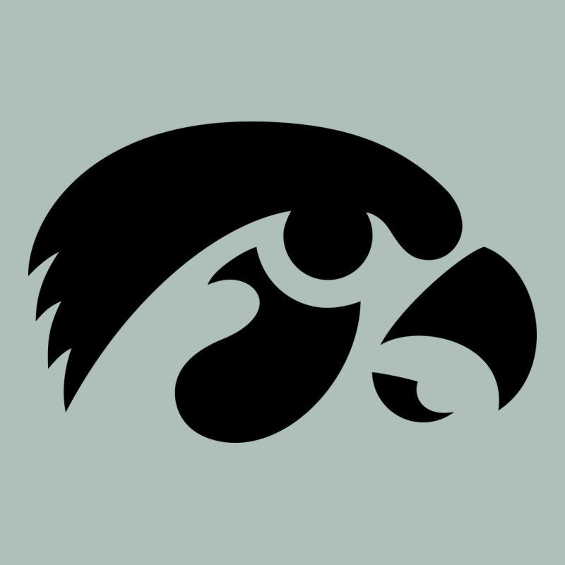 University Of Iowa Athletics Teams Gear Heavyweight Hoodie by linhVisuals | Teevron