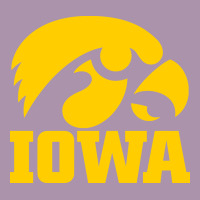 University Of Iowa Athletics Teams Gear Heavyweight Hoodie | Teevron