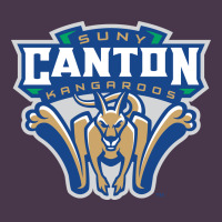 Suny Canton Heavyweight Hoodie | Teevron