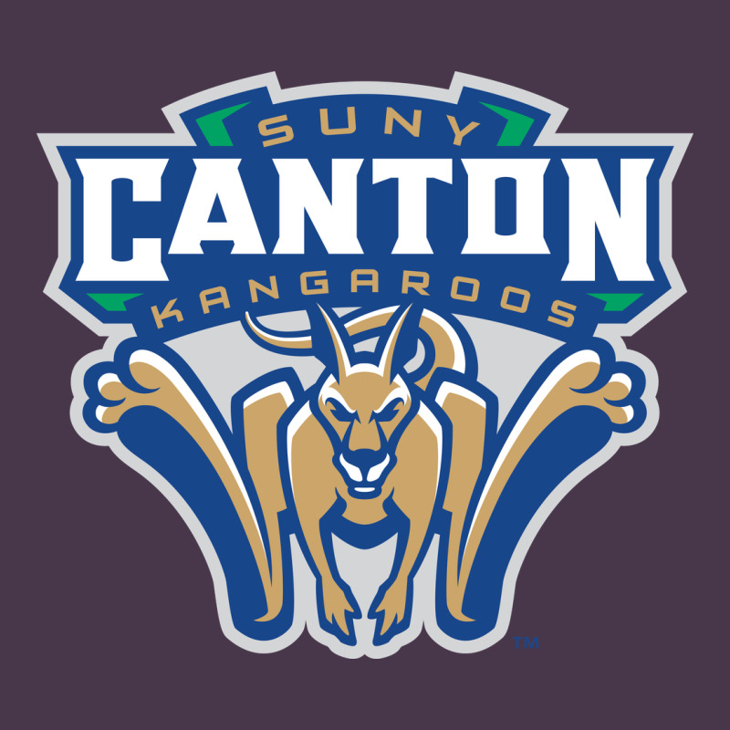 Suny Canton Heavyweight Hoodie by linhVisuals | Teevron