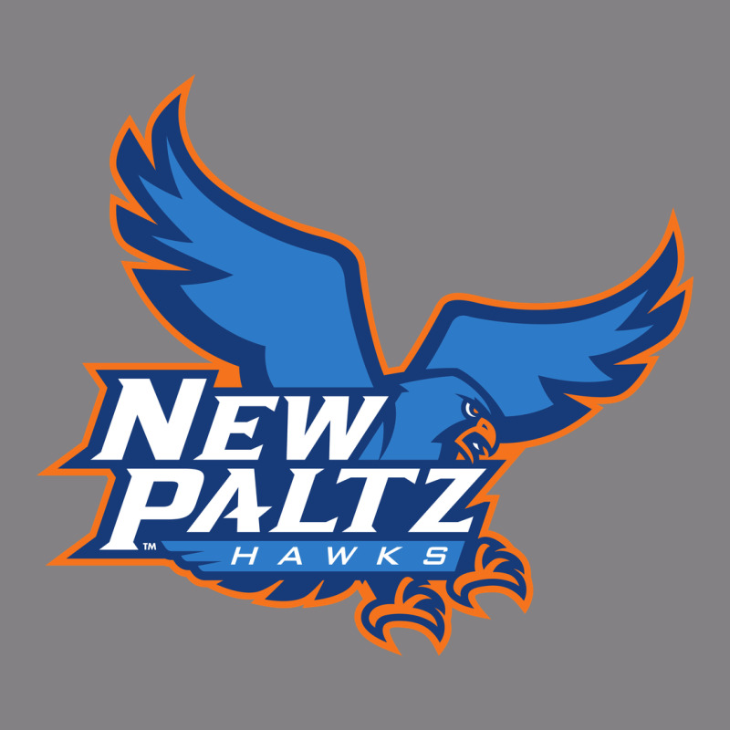 Suny New Paltz Heavyweight Hoodie by linhVisuals | Teevron
