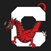 Suny Cortland Red Dragons Heavyweight Hoodie | Teevron