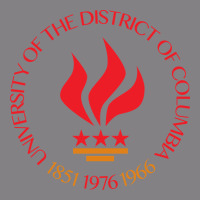 University Of The District Of Columbia Heavyweight Hoodie | Teevron