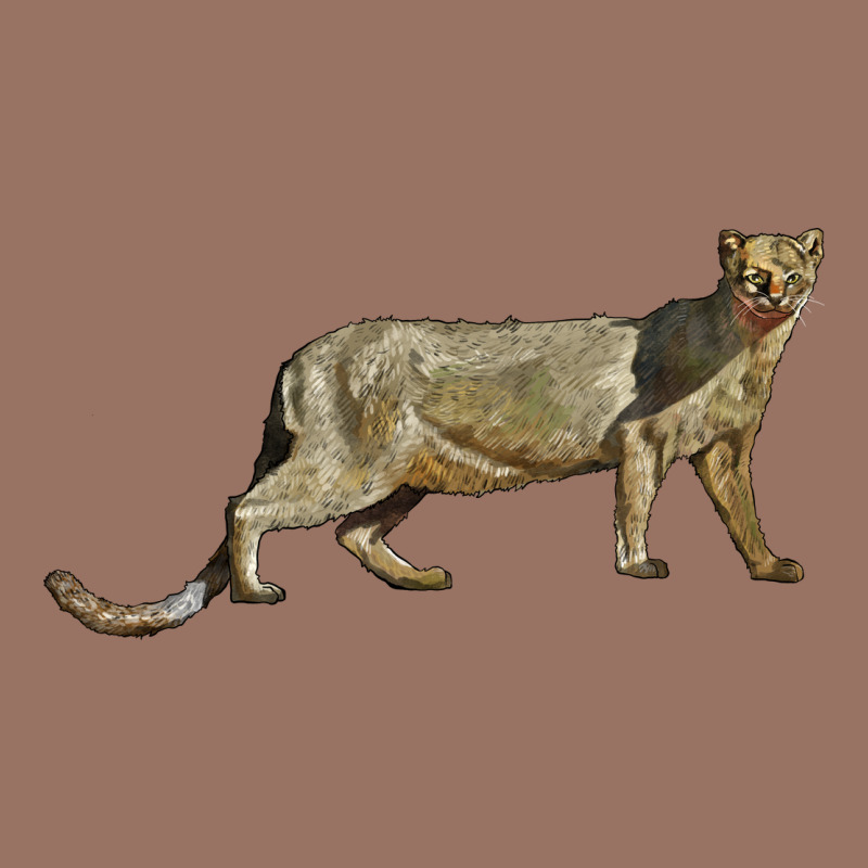 Jaguarundi Premium Hoodie by LillyAllenDesigns | Teevron