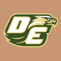 Desoto High School, Desoto Heavyweight Hoodie | Teevron