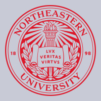 Northeastern University Heavyweight Hoodie | Teevron