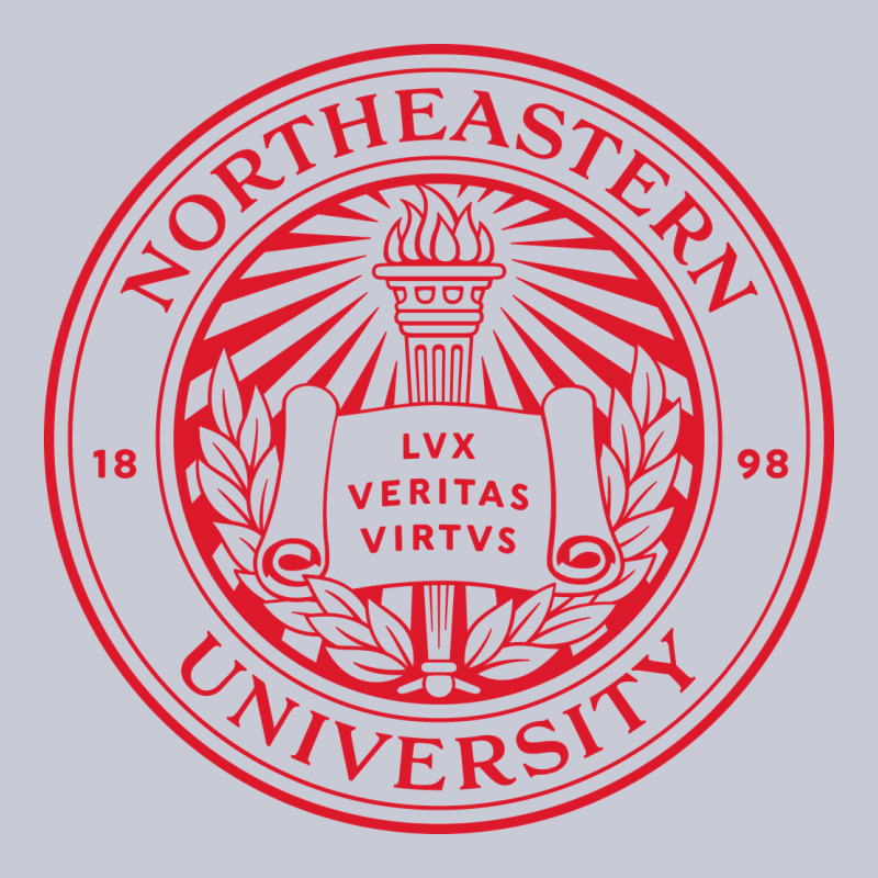 Northeastern University Heavyweight Hoodie by linhVisuals | Teevron