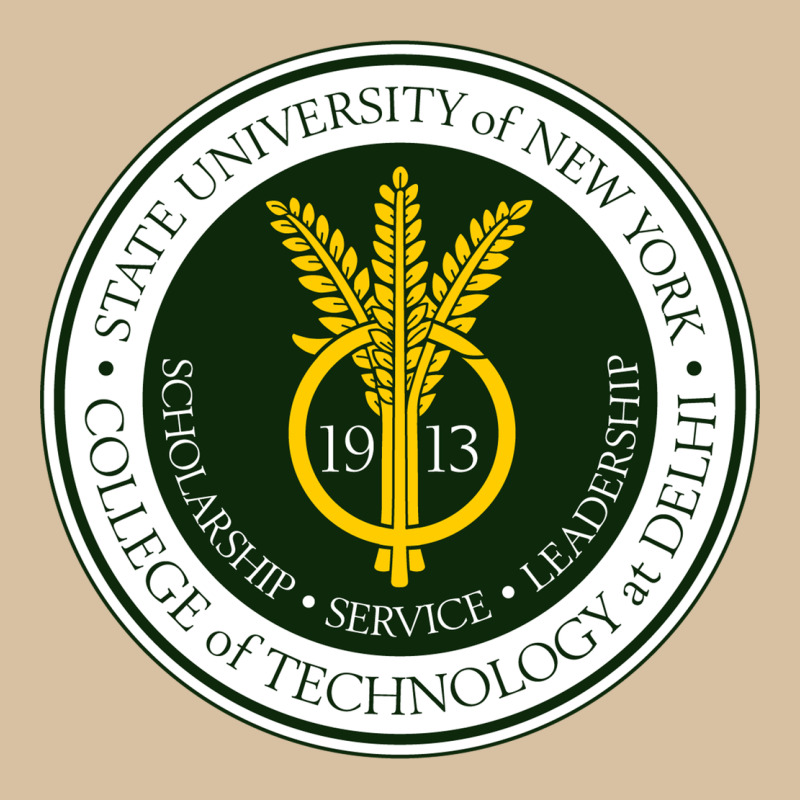 Suny Delhi Heavyweight Hoodie by linhVisuals | Teevron