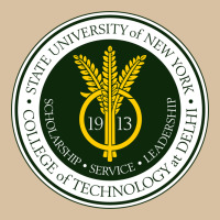 Suny Delhi Heavyweight Hoodie | Teevron
