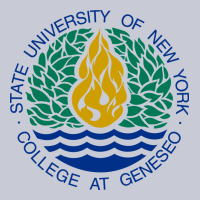 Suny Geneseo Heavyweight Hoodie | Teevron