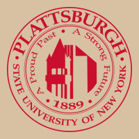 Suny Plattsburgh Heavyweight Hoodie | Teevron