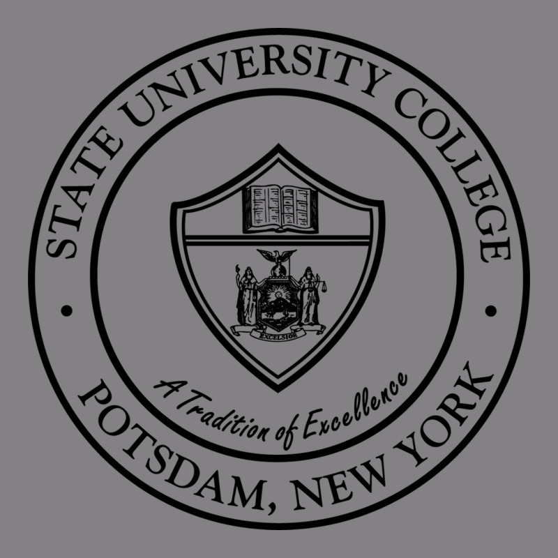 Suny Potsdam Heavyweight Hoodie by linhVisuals | Teevron