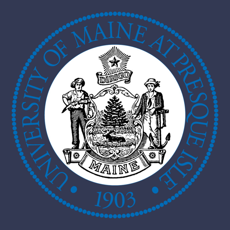 University Of Maine At Presque Isle Heavyweight Hoodie by linhVisuals | Teevron