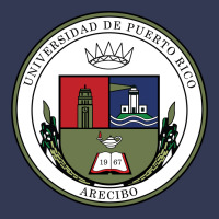 Upr At Arecibo Heavyweight Hoodie | Teevron