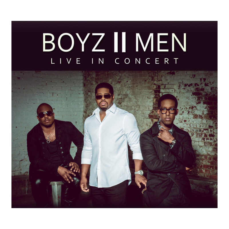 #boyz 2 Men Tour 2022 Heavyweight Hoodie by linhVisuals | Teevron