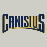 Canisius Athletics Wordmark Heavyweight Hoodie | Teevron