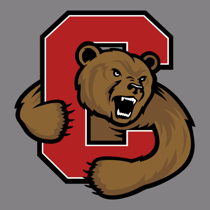 Cornell Big Red Heavyweight Hoodie by linhVisuals | Teevron