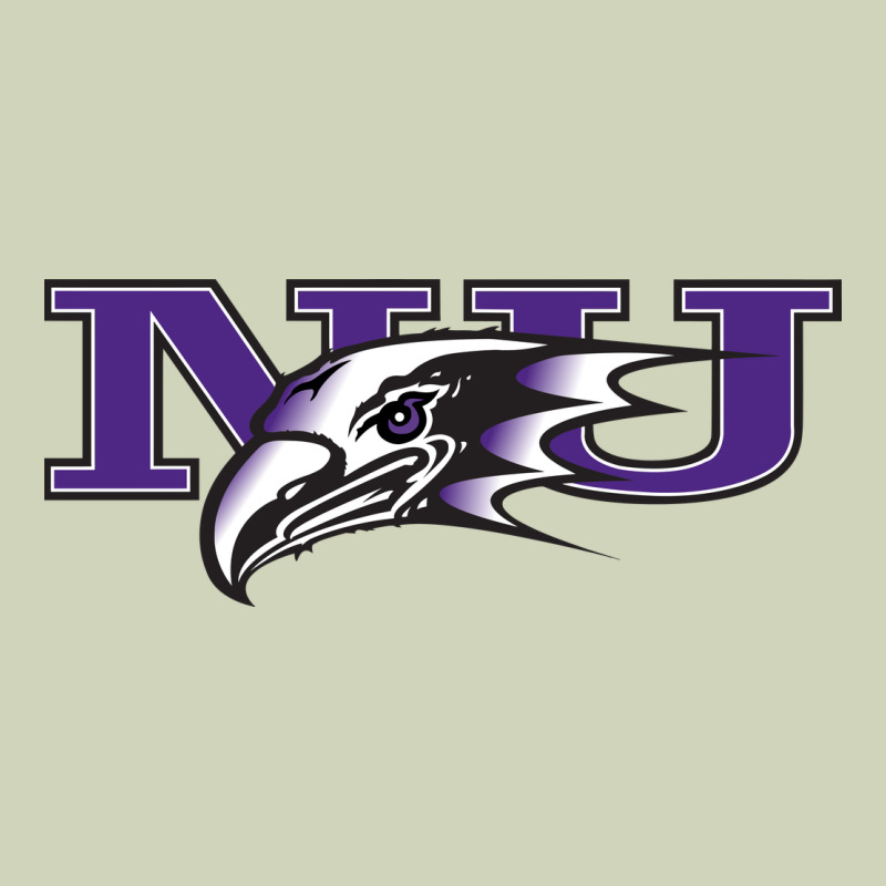 Niagara Purple Eagles Heavyweight Hoodie by linhVisuals | Teevron