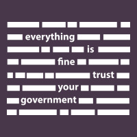 Everything Is Fine Trust Your Government Heavyweight Hoodie | Teevron