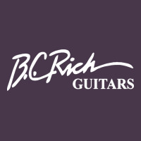 Bc Rich Guitar Heavyweight Hoodie | Teevron